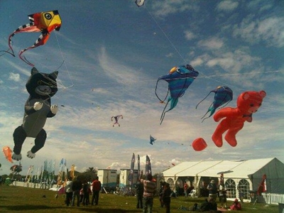 Celebrate your abilities... fly like the wind